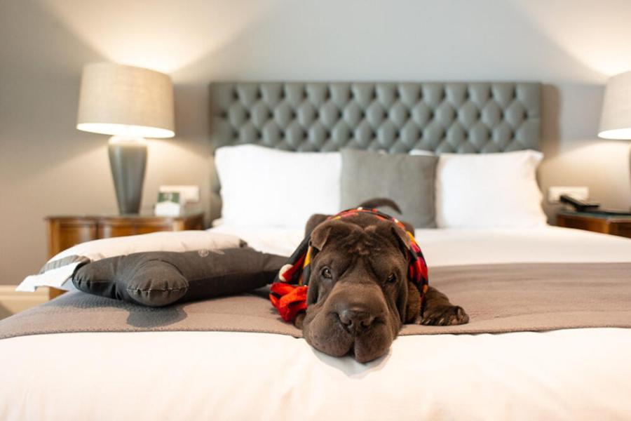 Grande Hotel Paranavai Ngoại thất bức ảnh